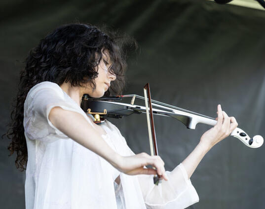 Cred: Chris Zwaagdyk